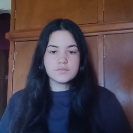 Camioficial