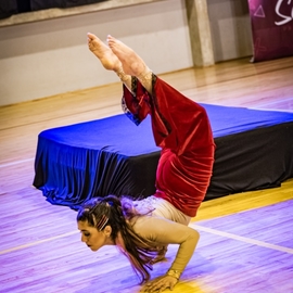Volarte